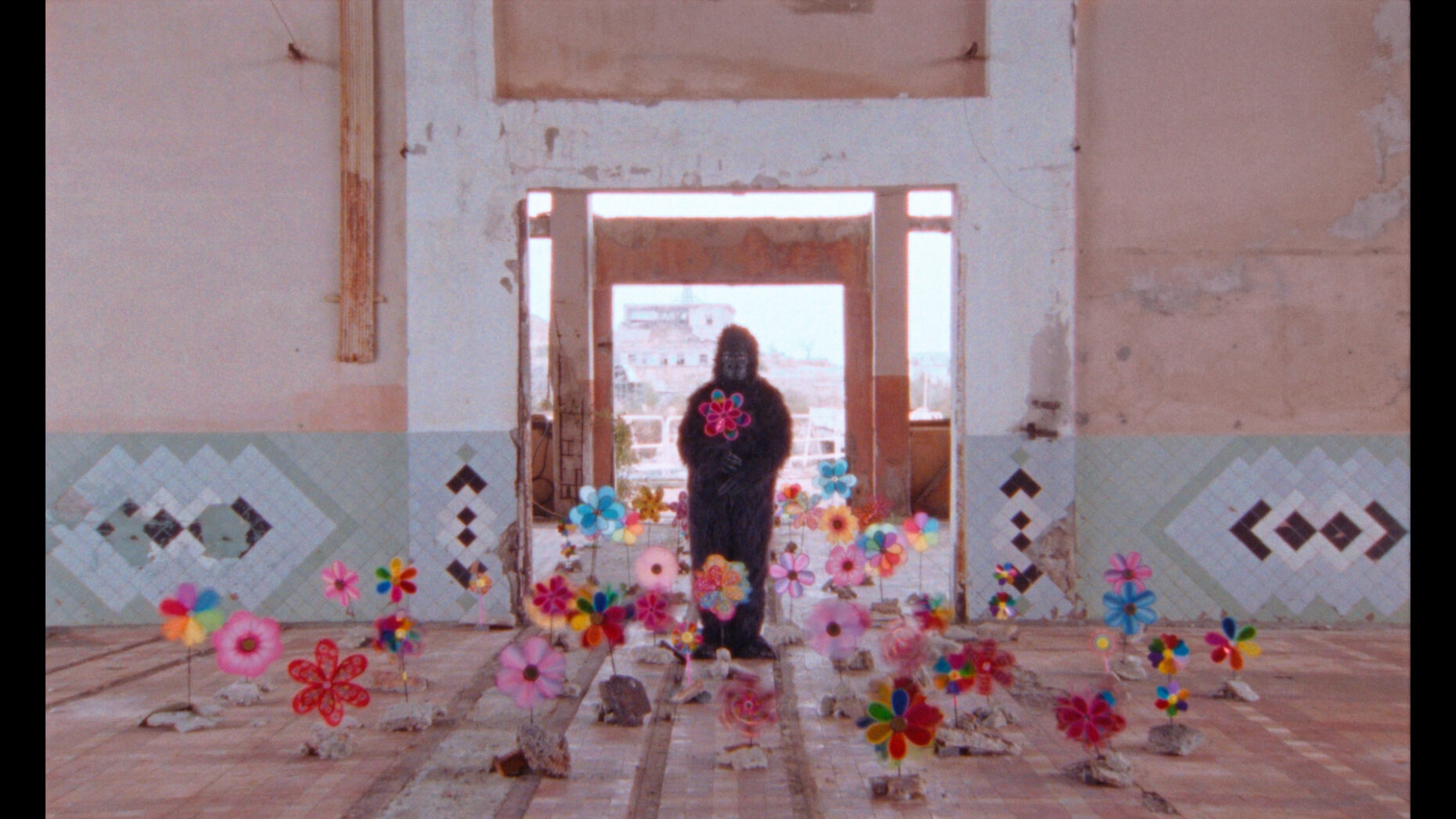 Memory_Still 5